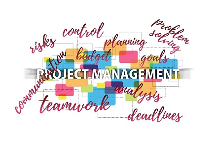 project management